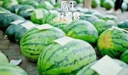 每日大赛吃瓜入口,吃瓜群众狂欢入口揭秘