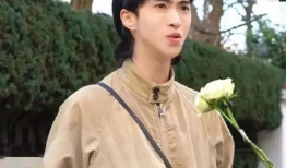 娱乐八卦吃瓜爱好者,明星背后的那些事儿