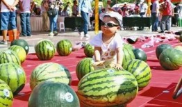 每日大赛吃瓜入口,吃瓜群众狂欢入口揭秘