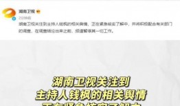 娱乐圈吃瓜营销号推荐,揭秘明星们的“瓜田”秘闻！