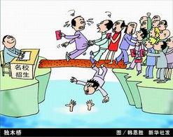 漫画独木桥,独木桥上的成长与挑战