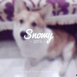 吃瓜少女喵娱乐,揭秘娱乐圈幕后故事